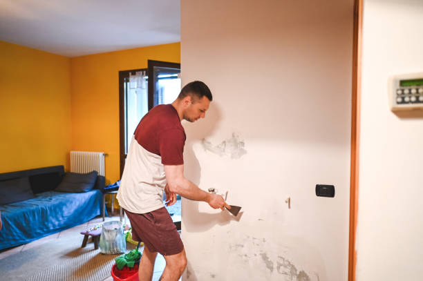 Office Mold Removal Services in Clinton, OK